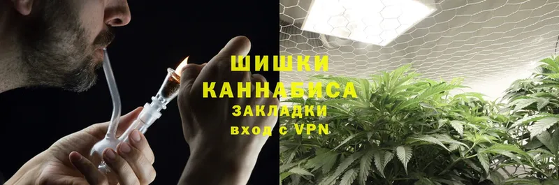 где продают наркотики  гидра ссылки  Бошки Шишки SATIVA & INDICA  Шарыпово 